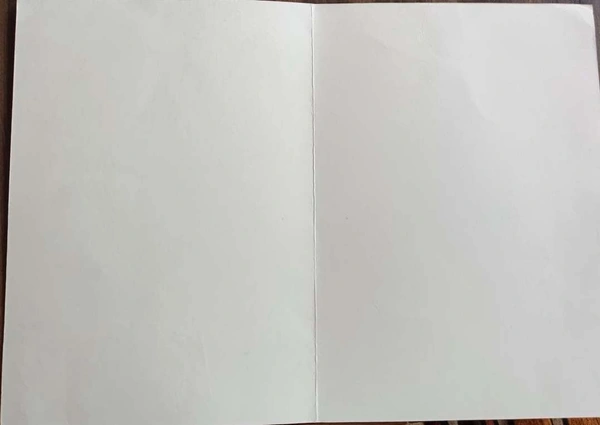 Havy Sheet Larg Size Wedding Card 938 - 7.5 x 10.5, White