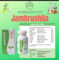 VIRGO UAP PHARMA JAMBRUSHILA जांब्रूशिला - 100 Tab X 2Pack