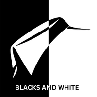 Blacksandwhite Blacksandwhite - Logo