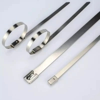 Cable Tie 300mm SS-304 Uncoated - 20 Pieces