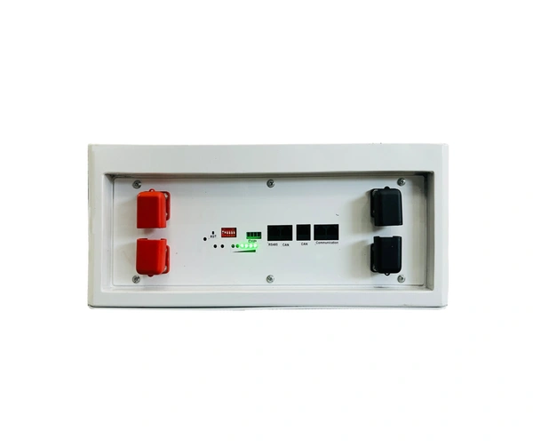 Litpax 51.2V 100Ah Lithium Phosphate Battery with Smart BMS - 5 Years Warranty