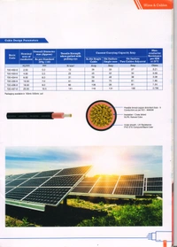 Microtek Solar DC Cable 6 Sq. mm XLPO TUV Protected 100 Meter - Black