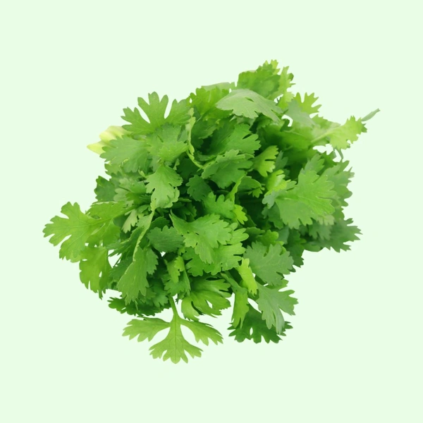Coriander Leaves/Dhaniya 