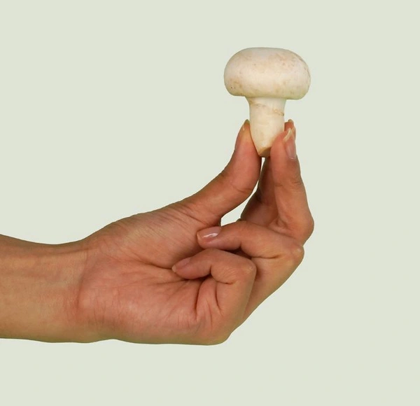 Button White Mushroom - 200 Gm × 1 Pack