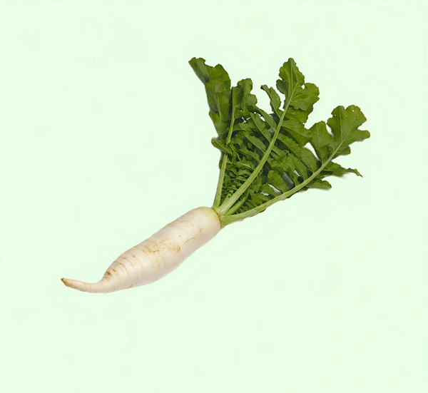 Radish With Leaf /Mooli - 500 - 600 G