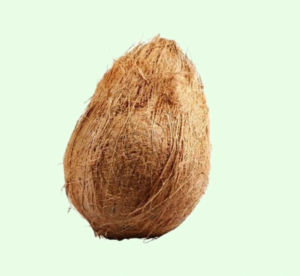 Brown Coconut - 1 Pc