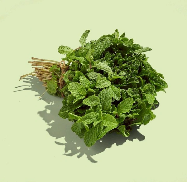 Mint/Pudina - 100 - 120 G