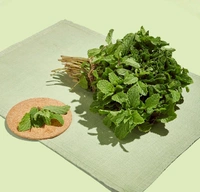 Mint/Pudina - 100 - 120 G