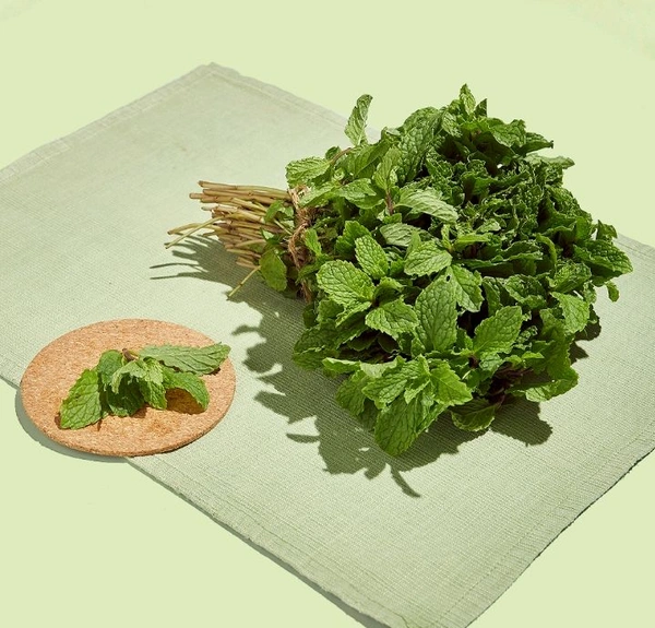 Mint/Pudina - 100 - 120 G