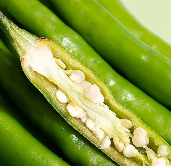 Green Chilli /Haree Mirch - 250gm