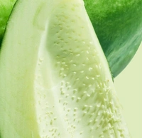 Raw Papaya /Kacha Papiya - M, 2 Pc