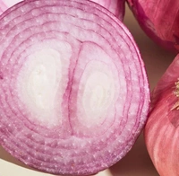 Onion/Pyaaz - 1 KG - 1.25KG