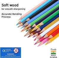 Doms Pencil Colour 24pcs Full Size