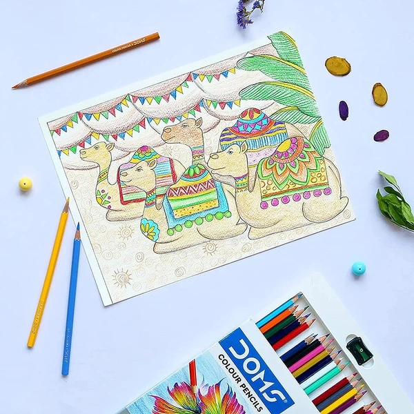 Doms Pencil Colour 24pcs Full Size