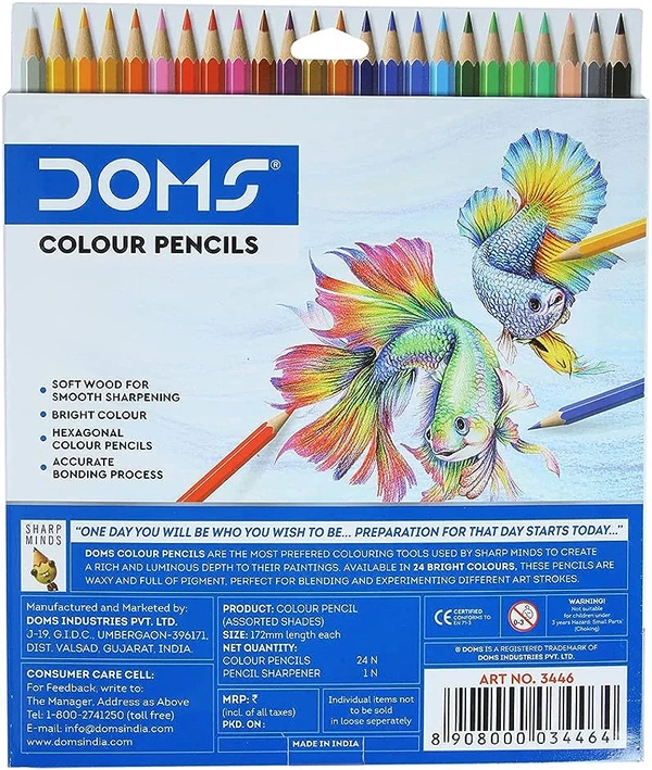 Doms Pencil Colour 24pcs Full Size