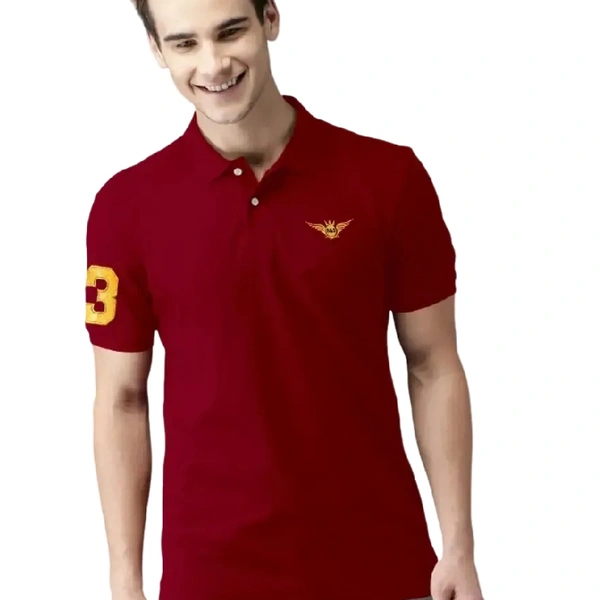 POLO KOLER T-SHIRT - Maroon, 2XL