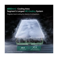 REALME 13+ 5G (Speed Green, 128 GB)  (8 GB RAM) - (8+128GB), Speed Green