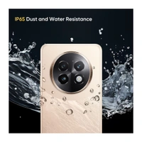 REALME 13+ 5G (Victory Gold, 256 GB)  (8 GB RAM) - (8+256GB), Victory Gold