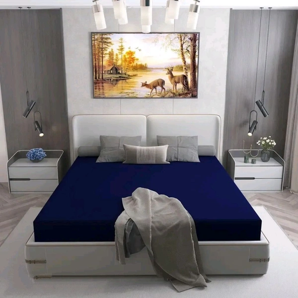 Comfortable Terry Cotton Waterproof Dust-Proof Mattress Cover for King Size Bed