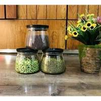 Container Jar Set For Kitchen 900Ml Set Of 4