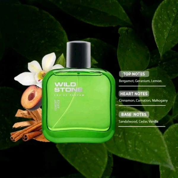 Wild Stone Forest Spice Perfume for Men 30ml