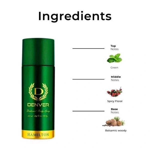 Denver  Hamilton Long Lasting Deodorant Spray for Men, 165ml