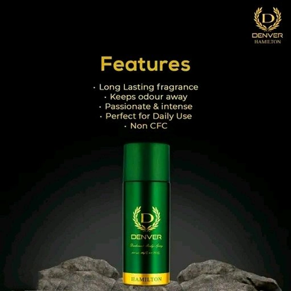 Hamilton Deodorant Spray - For Men  (330 ml, Pack of 2) 