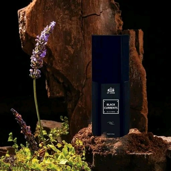 ST.JOHN Perfume for Men & Women | Magnet Perfume 10ml & Black current Perfume 10ml (Pack of 2)