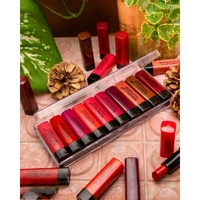 RONZILLE Pocket Matte Lipstick set o 10 pc