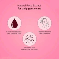 Dravida Organics Rose Body Lotion Long-Lasting Moisturization Pack of 2 (300 ml)