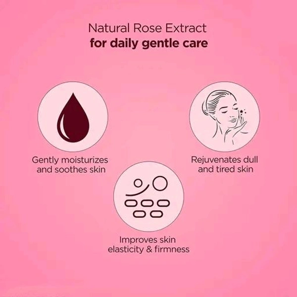 Dravida Organics Rose Body Lotion Long-Lasting Moisturization Pack of 2 (300 ml)