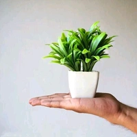 Artificial Mini Bonsai Pots for Home/office  decoration set of 5