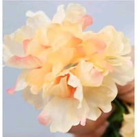 Sure2Shop365 Artificial Maple Silk flower bail Orange Colour Leaves Hanging Garland for Decoration (Pack of 1)