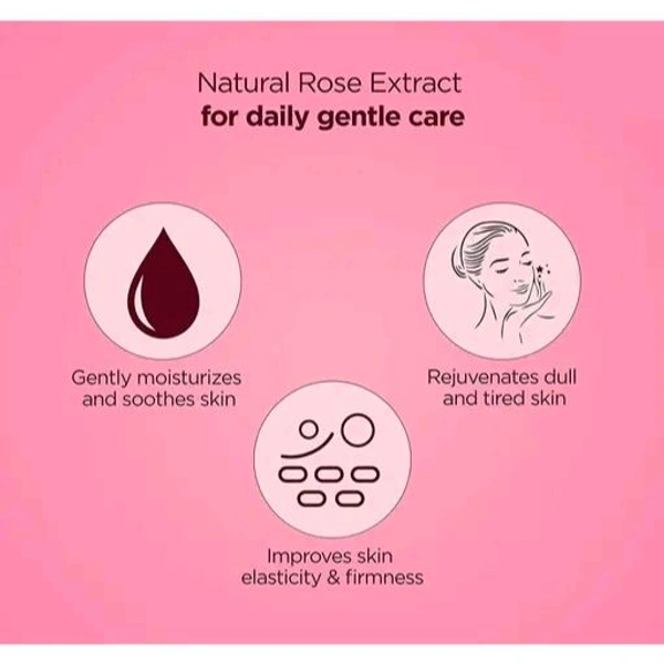 Dravida Organics Rose Body Lotion Long-Lasting Moisturization, Body Lotion for Dry, Rough Skin, Pack of 2 (300 ml)