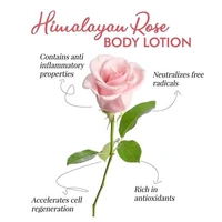 Dravida Organics Rose Body Lotion Long-Lasting Moisturization, Body Lotion for Dry, Rough Skin, Pack of 2 (300 ml)