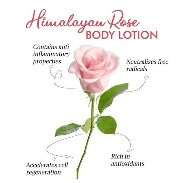 Dravida Organics Rose Body Lotion Long-Lasting Moisturization, Body Lotion for Dry, Rough Skin, Pack of 2 (300 ml)