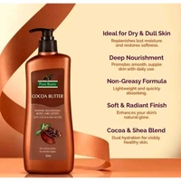 Pure Roots Cocoa Butter Body Care Lotion ( 300ml *2 ) Pack of 2 | Non Sticky, Fast Observing Lotion for dry All Skin Type 
