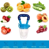 hey mini Nibbler for Babies - Silicone BPA Free Natural Organic Nipple Teethers and Fruit Nibbler Feeder for Newborn Baby Boy & Baby Girl, Pacifier Fruit Vegetable for 3-12 Months Babies - 0-3 Month