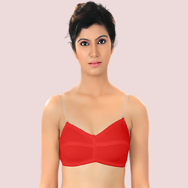 InnerFeel Native Women's Transparent Strap Bra Pk Of 2 - Mix, 32