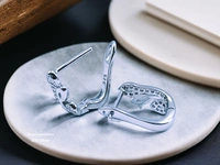 Avani Jewellers Silver Italian Fancy Earrings - 2.56
