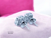 Avani Jewellers Silver Fancy Studs - 2.68