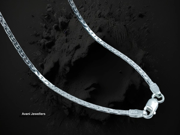 Avani Jewellers Silver Gents Chain - 24.73, 20