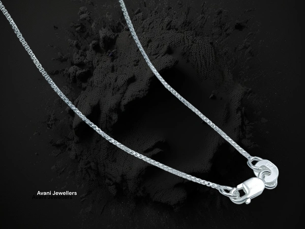 Avani Jewellers Silver Gents Chain - 2.58, 20