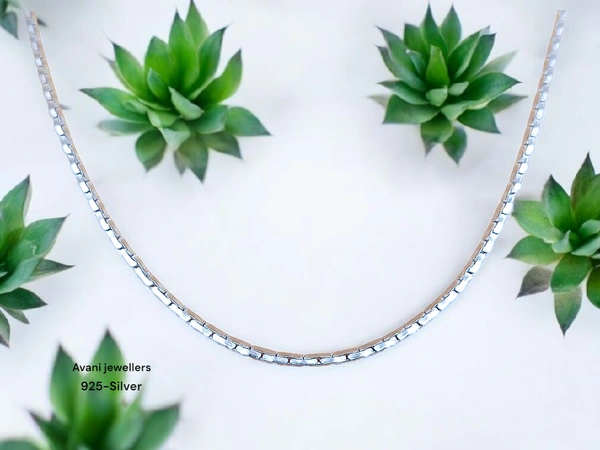 Avani Jewellers Silver Gents Chain - 9.89, 20