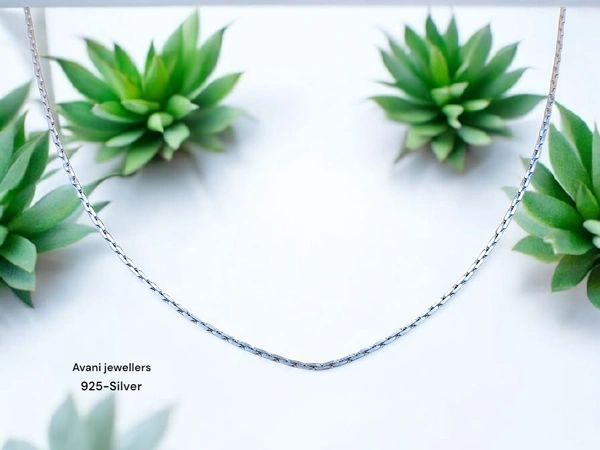 Avani Jewellers Silver Gents Chain - 6.61, 20