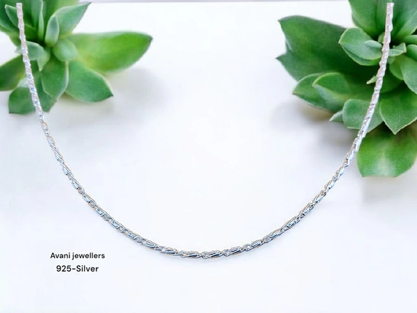 Avani Jewellers Silver Gents Chain - 7.77, 20