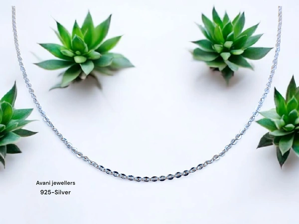 Avani Jewellers Silver Gents Chain - 7.01, 22