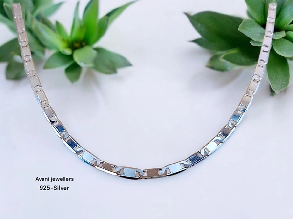 Avani Jewellers Silver Gents Chain - 10.53, 20