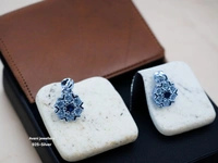 Avani Jewellers Silver Upper Ear Tops - 1.41