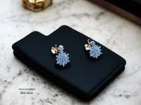 Avani Jewellers Silver Upper Ear Tops - 2.18